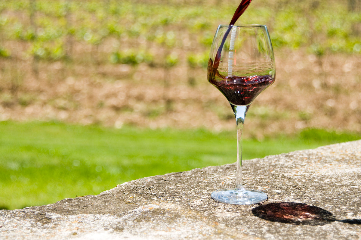 DEGUSTATIONS AU DOMAINE