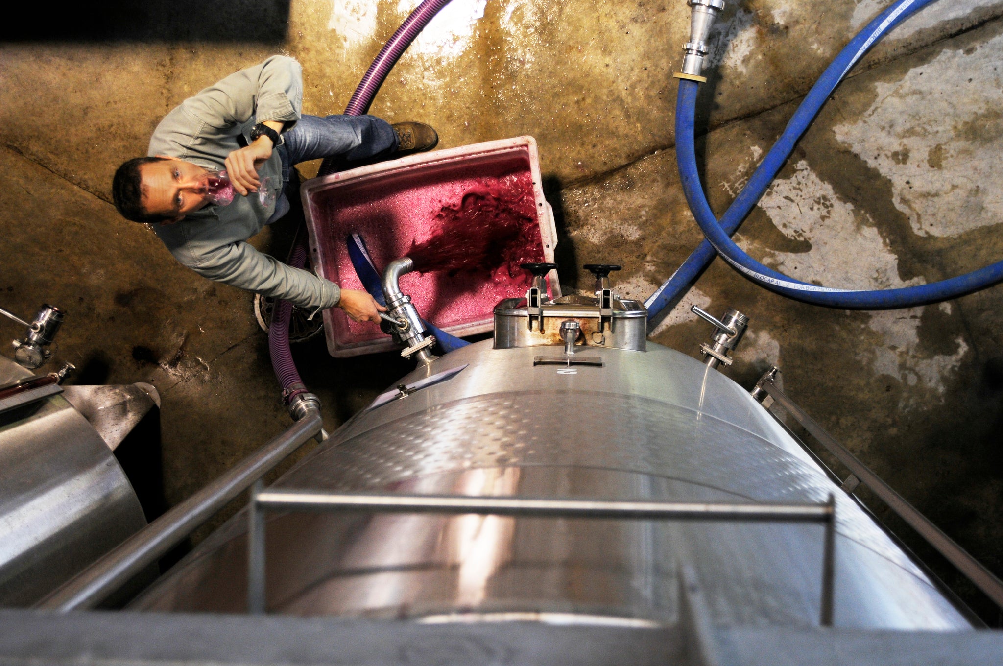 Le chai Domaine de Marie