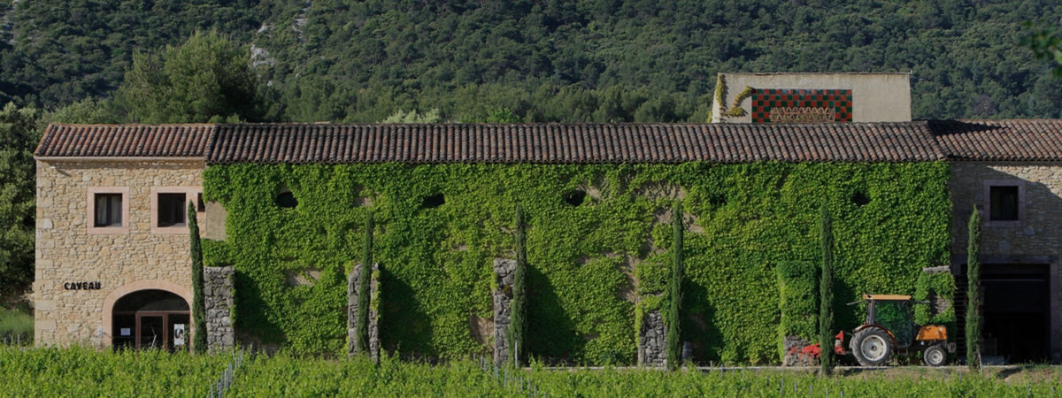 propriété viticole Domaine de Marie