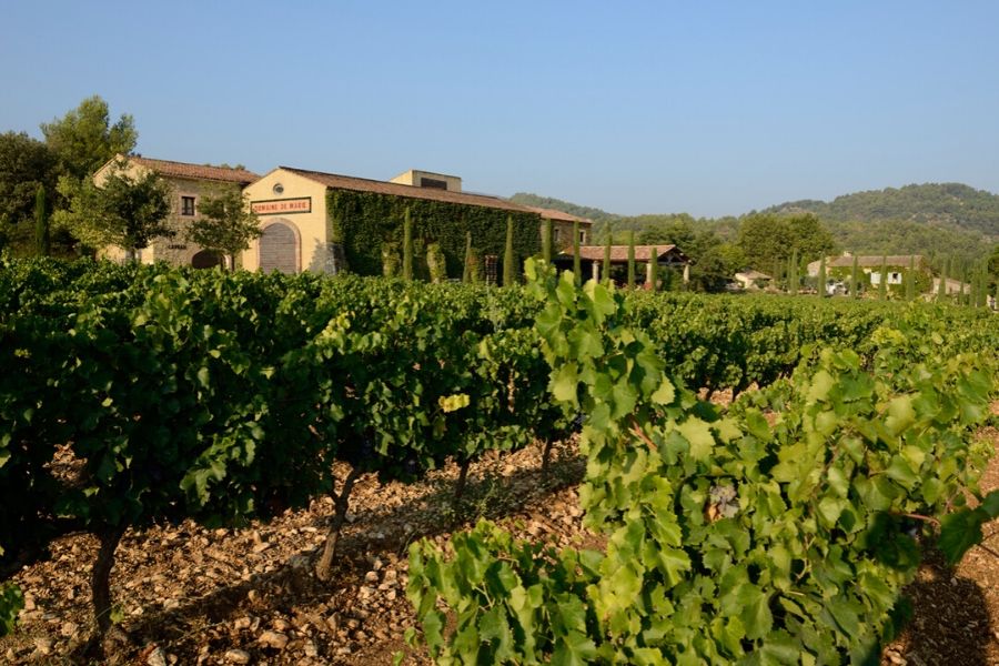 Le vignoble Domaine de Marie